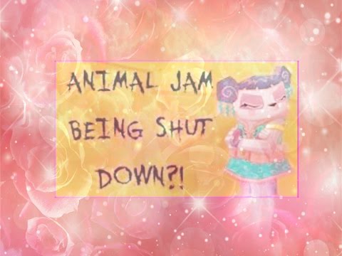 Animal Jam Shutting Down - yellowcatalog
